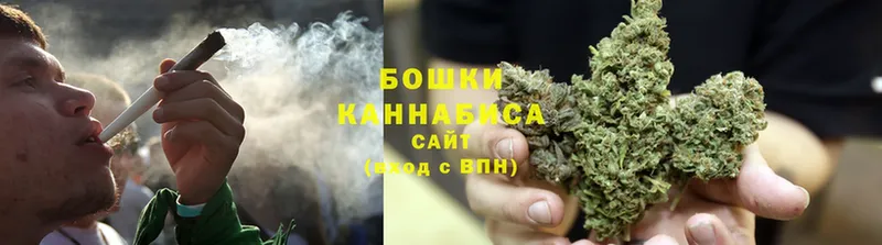 Бошки Шишки SATIVA & INDICA  купить наркоту  Кондрово 